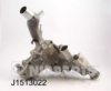 NIPPARTS J1513022 Water Pump